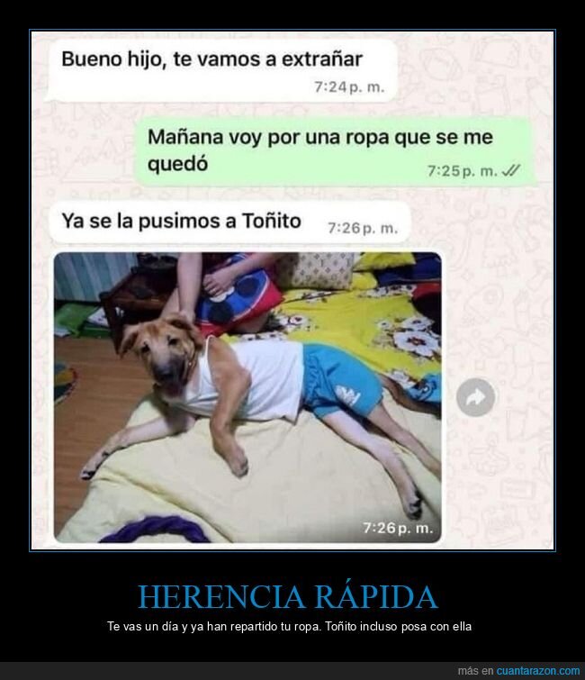 perro,ropa,mudanza,familia,herencia