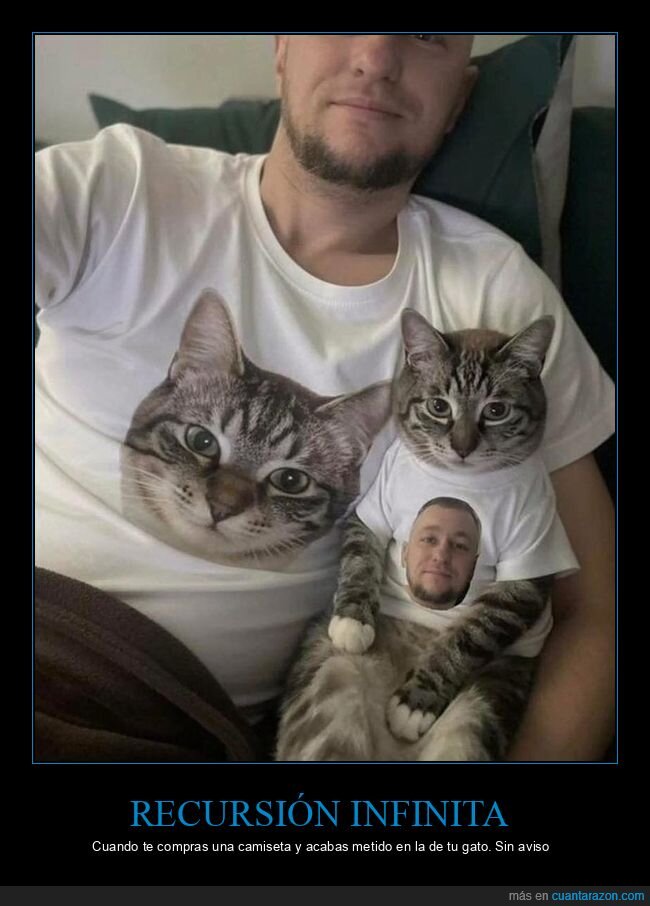 gato,camiseta,recursi&oacute;n,fotomontaje,mascota