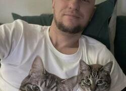 Enlace a Me compré una camiseta y ahora vivo en la de mi gato
