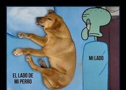 Enlace a Yo pago la cama, pero él se queda con el piso entero