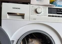 Enlace a Me dijeron “ciclo corto” y aquí estoy, replanteándome la vida