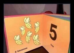 Enlace a Cuando el libro es más tonto que tú