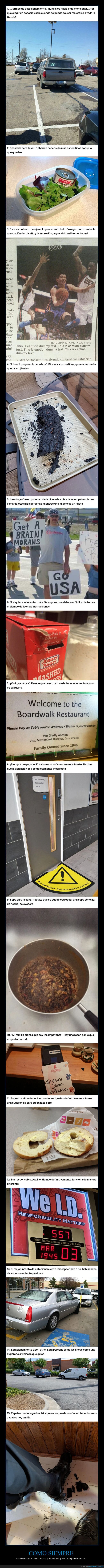 chapuza,incompetencia,desastre,errores,absurdo