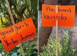 Enlace a From lost to the garden