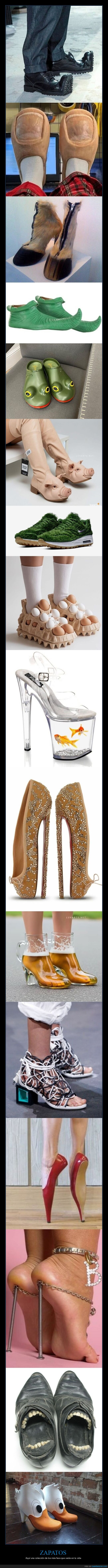 calzado,huevos,reciclaje,moda,absurdo