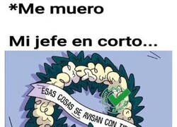 Enlace a Hasta para morirme tengo que avisar con 15 días