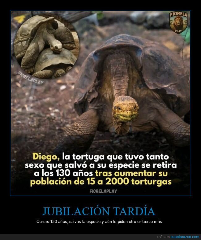 tortuga,longevidad,jubilaci&oacute;n,sexo,especie