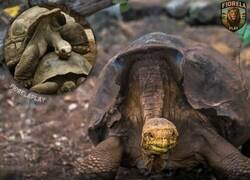 Enlace a Yo con 30 ya pido la baja