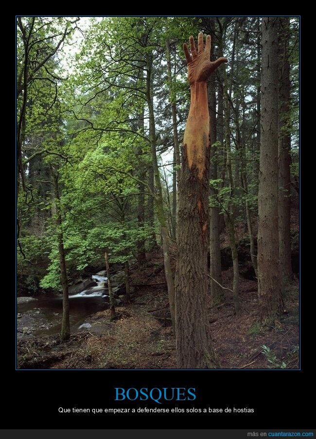 bosque,mano,&aacute;rbol,surrealismo,wtf