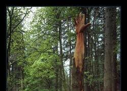 Enlace a Quita de en medio o te doy