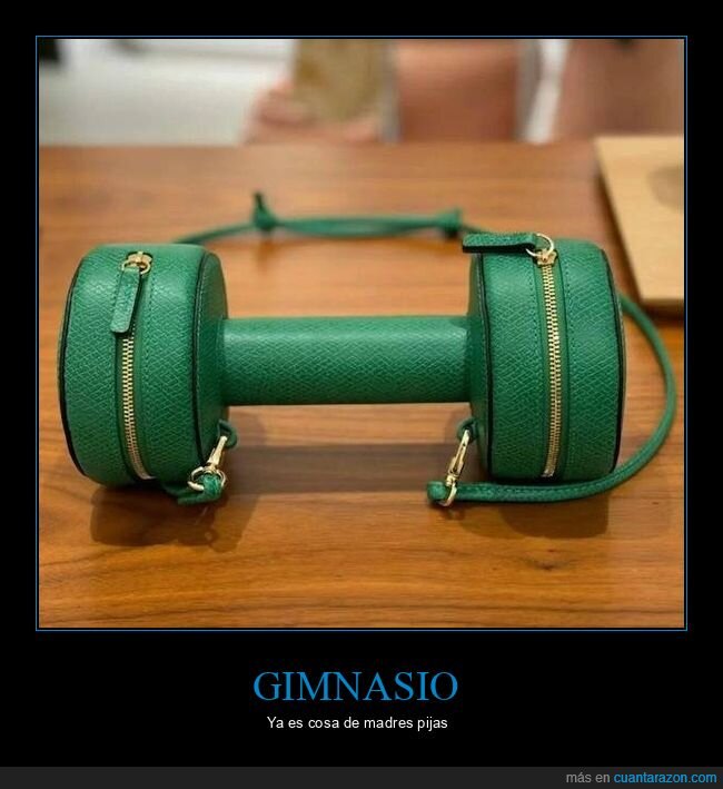 gimnasio,lujo,pesa,bolso,absurdo