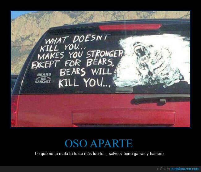 osos,supervivencia,pegatina,coche,wtf
