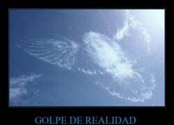 Enlace a No era una señal, era un pájaro estampándose