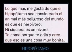 Enlace a Herbívoro, pero rencoroso