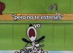 Enlace a Sí, ahora mismo dejo de estresarme, espera que desenrede mi existencia