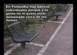 Enlace a Un billete para Finlandia, que aquí la gente no respeta ni un palmo