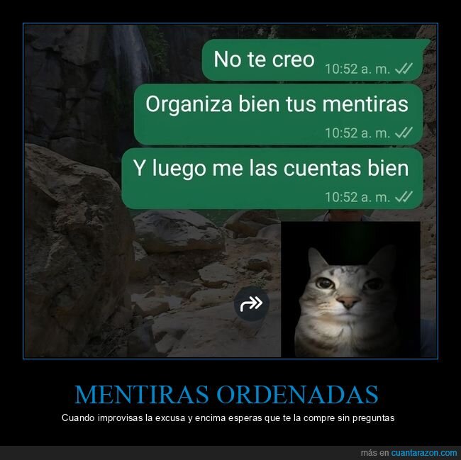 mentiras,whatsapp,excusa,chat,gato