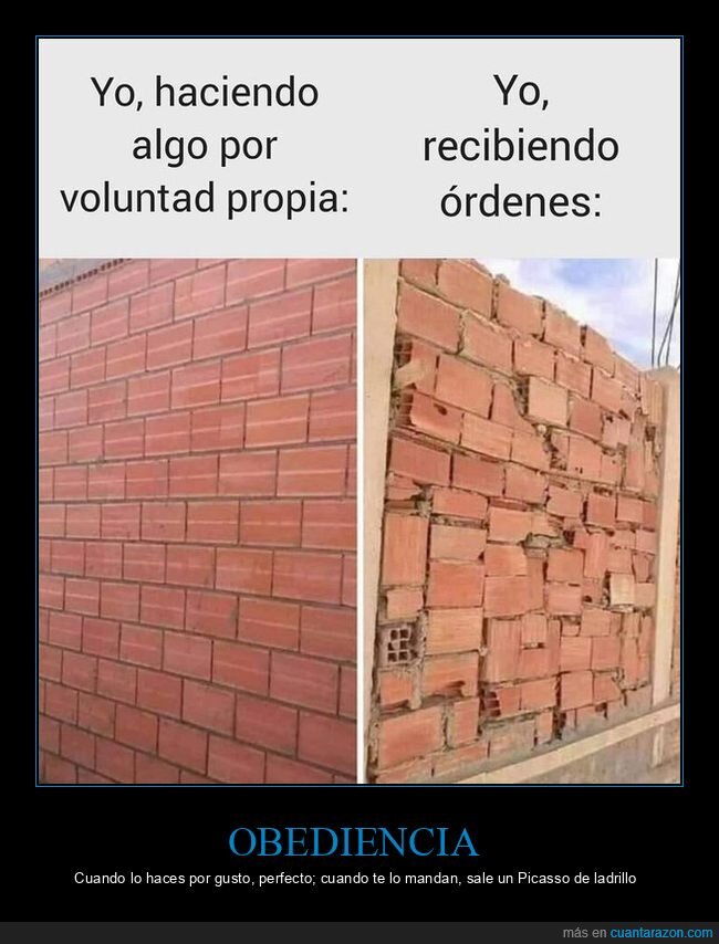 ladrillos,ordenes,chapuza,rebeldia,trabajo