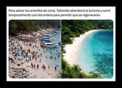 Enlace a El paraíso mejora cuando te vas