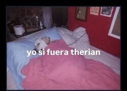 Enlace a Yo si fuera therian… pero en plan siesta y croquetas
