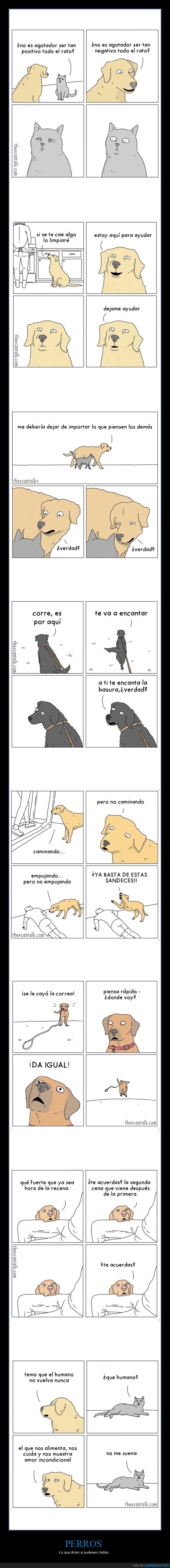 perros,hablar,comics