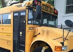 Enlace a Pues no será por mi culpa