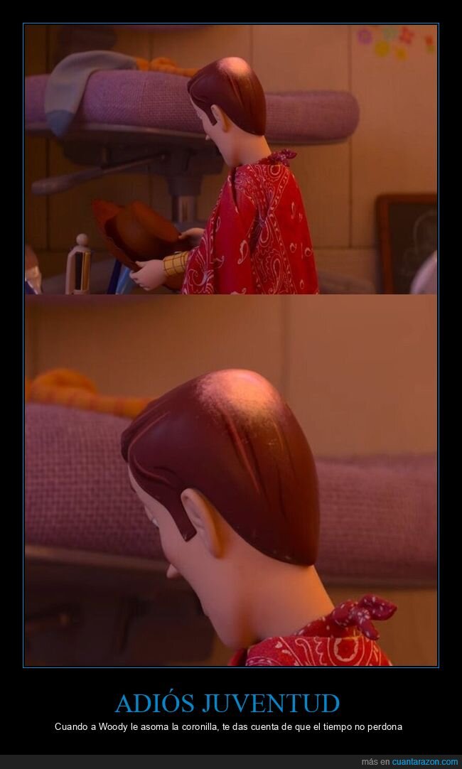 Woody,calvicie,juventud,nostalgia,ToyStory