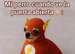 Enlace a Abres la puerta y ya va en modo speedrun