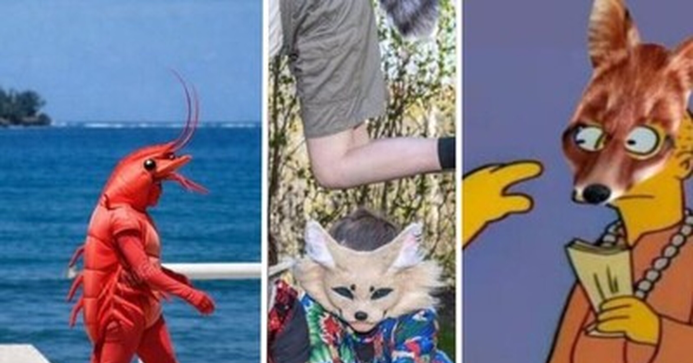 ¡Cuánta razón! / Los MEMES más virales tras la explosión de los Therians