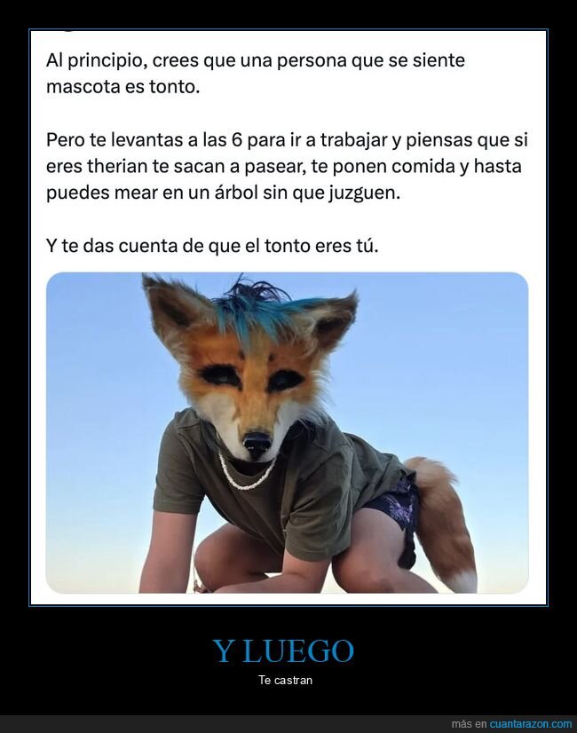 therian,trabajo,madrugar,mascota,envidia