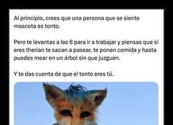 Enlace a Te ríes del therian… hasta que recuerdas que tú madrugas y pagas por ser libre