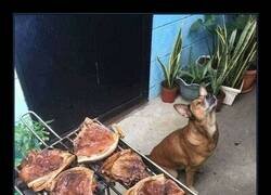 Enlace a Yo solo he venido a supervisar la barbacoa… y a rezar