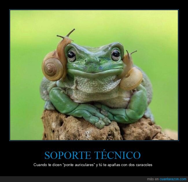 rana,caracoles,auriculares,absurdo,naturaleza