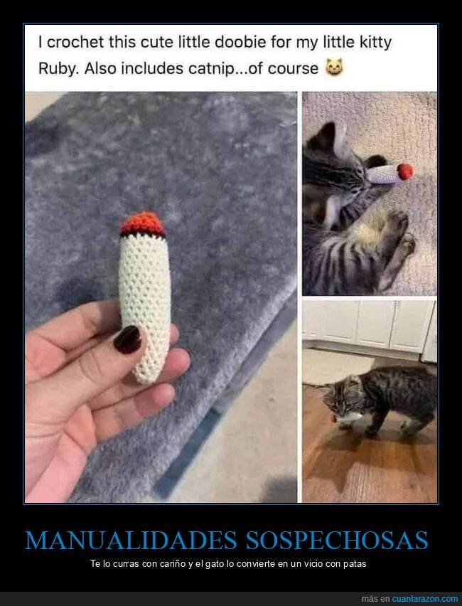 gato,catnip,ganchillo,porro,juguete
