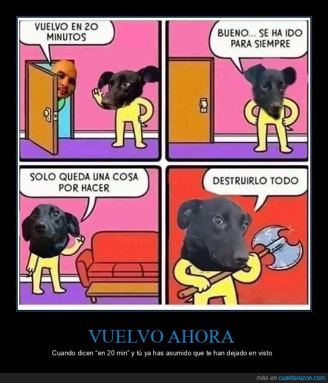 perro,venganza,destrozos,casa,impaciencia
