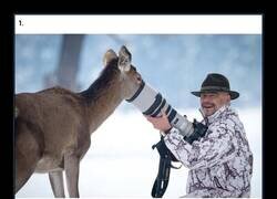 Enlace a Yo buscando la foto perfecta y la fauna: «¿Quieres colaboración o qué?»