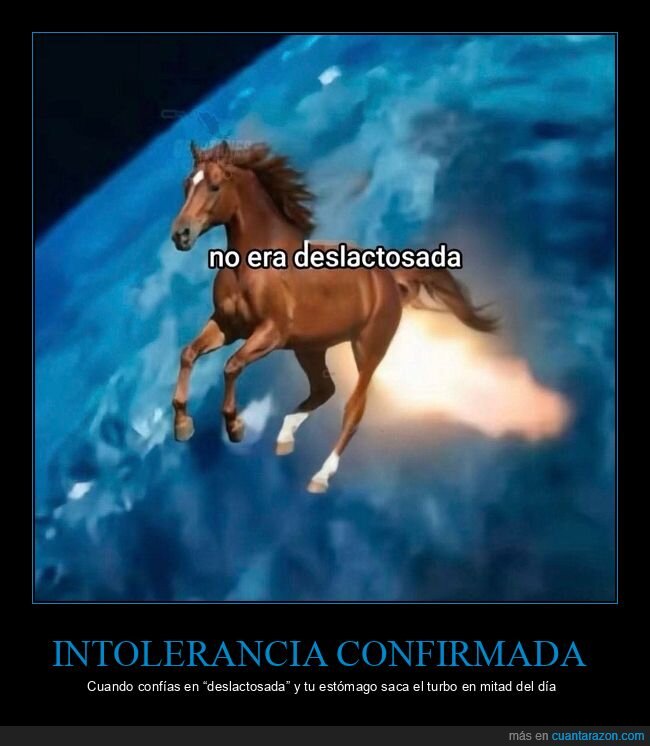 caballo,lactosa,error,huida,intolerancia