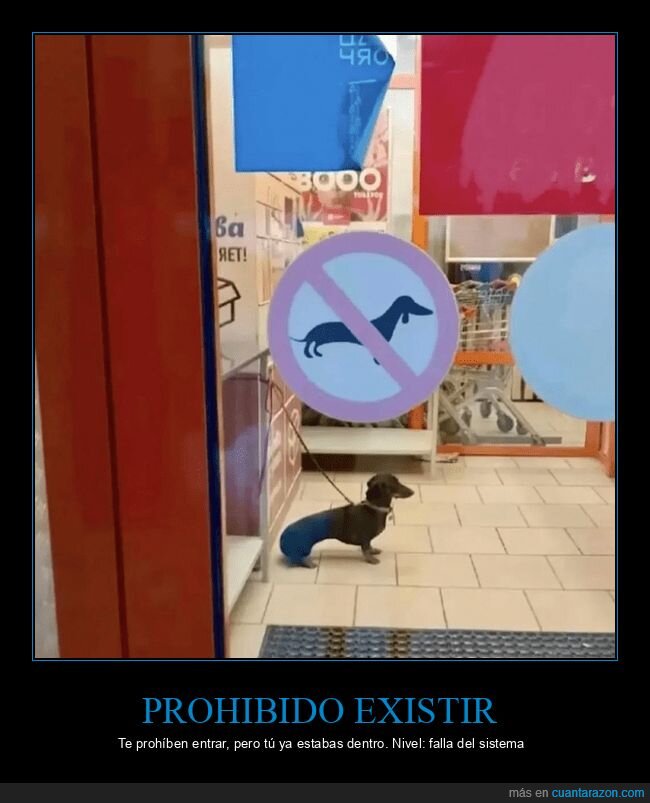perro,cartel,prohibicion,supermercado,absurdo
