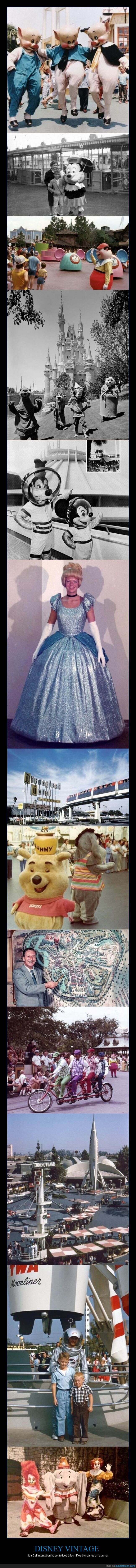 disfraz,parque,turistas,foto,personaje,disneyland