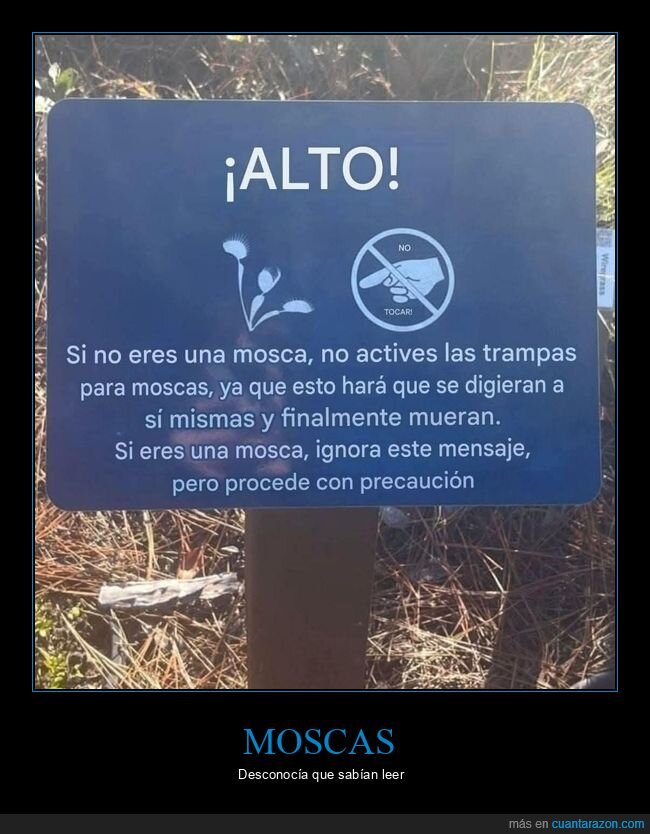 mosca,cartel,advertencia,trampa,lectura