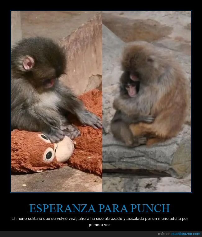 Mejor cartel de ayer