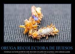 Enlace a Me pongo lo que quede y tiro