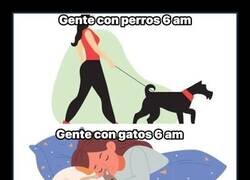 Enlace a A las 6: unos salen a pasear y otros siguen siendo los jefes de casa