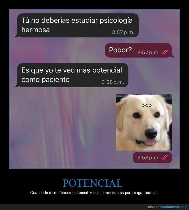 psicolog&iacute;a,paciente,chat,perro,terapia