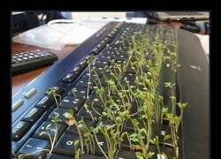 Enlace a Mi productividad: en modo invernadero