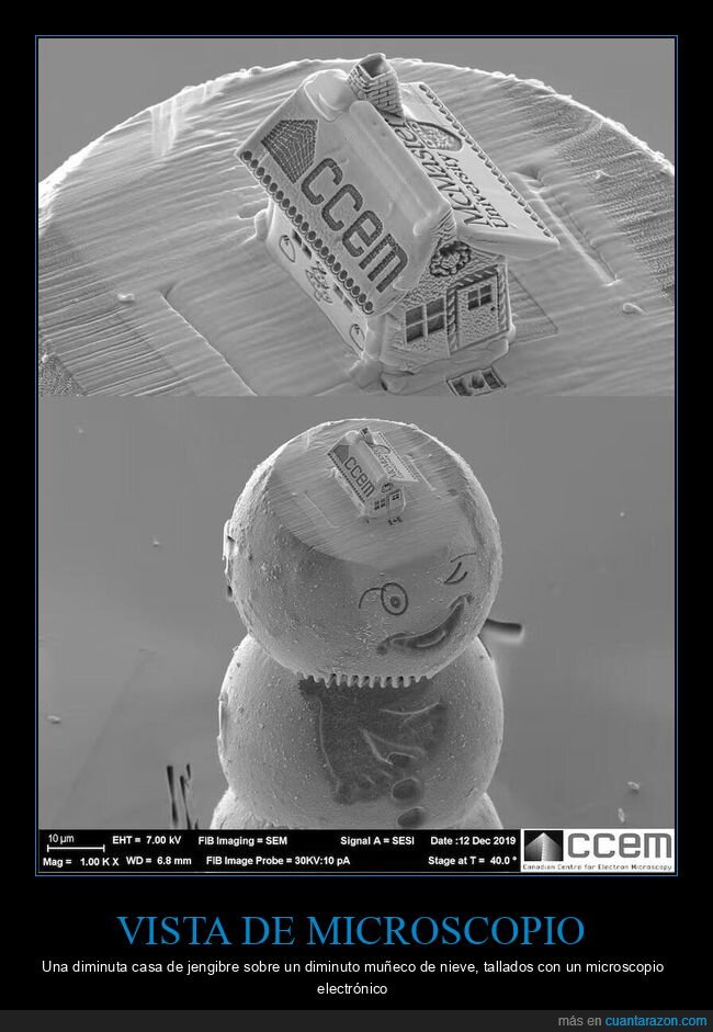 nanotecnolog&iacute;a,microscopio,jengibre,navidad,absurdo