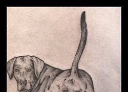 Enlace a Definición de caraculo