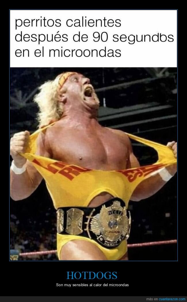 microondas,perritos,lucha,explosi&oacute;n,cocina