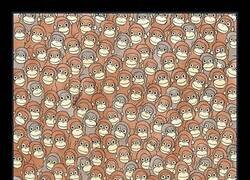 Enlace a Ser único, pero en modo incógnito