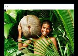 Enlace a A muchos esa forma les recordará algo